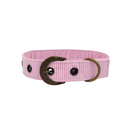 Buckle Dog Collar